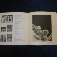Rudolf Hoflehner : Krieauer Kreaturen. Mit einem Werkkatalog sämtlicher Radierungen und Lithographien 1965 - 1970 von Kristian Sotriffer. (= Österreichische Graphiker der Gegenwart; IV).