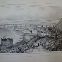 Souvenirs de Nice. Dessinés par V. Piccardi.