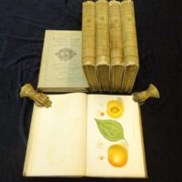 Deutsche Pomologie. Chromolithographische Abbildung, Beschreibung und Kulturanweisung der empfehlenswerthesten Sorten Aepfel, Birnen, Kirschen, Pflaumen, Apricosen, Pfirsiche und Weintrauben. Nach den Ermittelungen des Deutschen Pomologen-Vereins herausgegeben. 7 Teile in 6 Bänden.