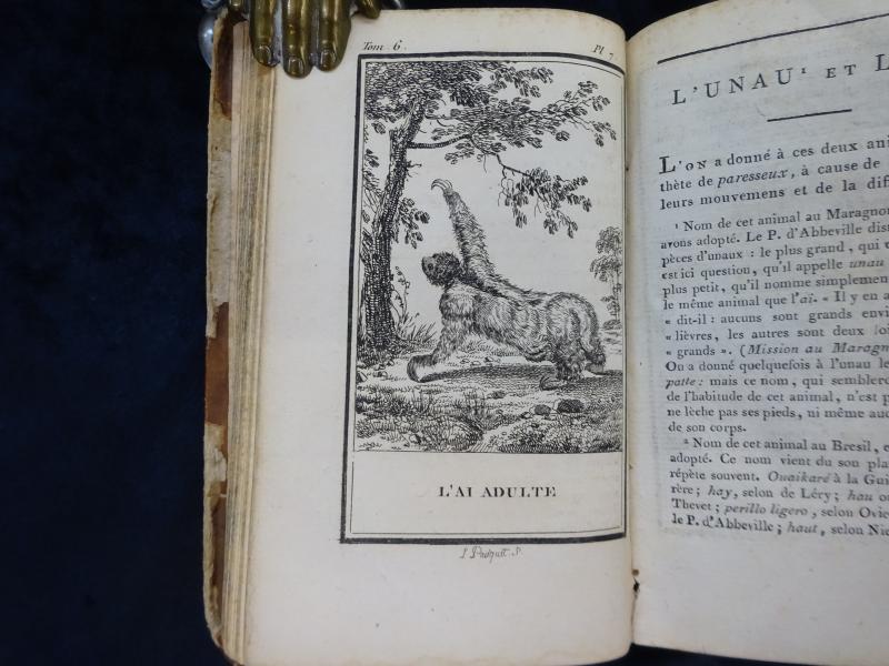 Histoire Naturelle Par Buffon, Dediee Au Citoyen Lacepede, Membre De L'Institut National. Quadrupedes. Tome Sixieme. – Bild 2